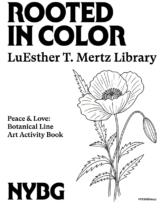 A coloring book cover featuring a black and white flower and the words "Rooted in Color"